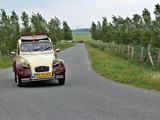 Reinier Jansen (65)