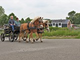 Reinier Jansen (84)