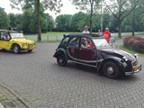 Dolf Hamers (19)