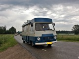 Reinier Jansen (81)